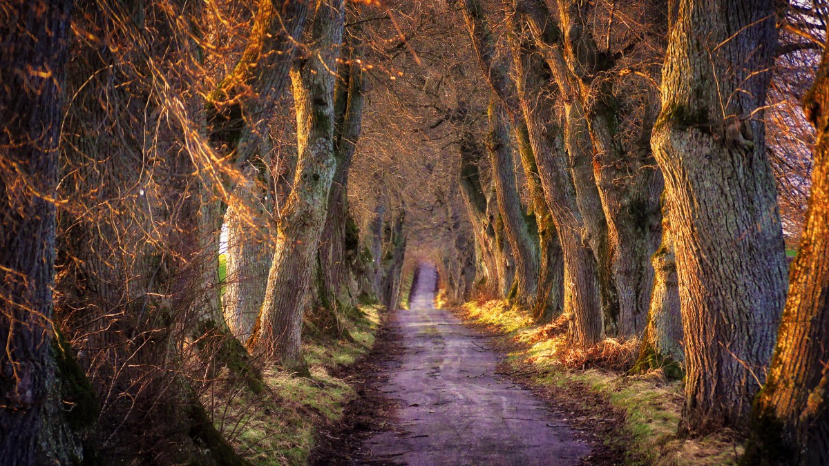 澳门百家乐平台
